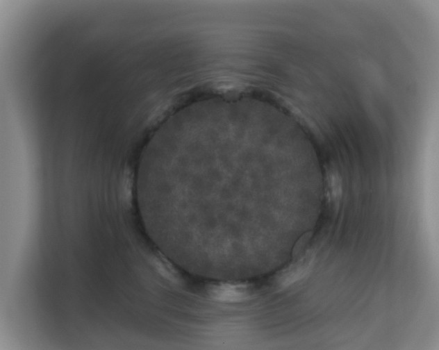 X0000111640664200907241112