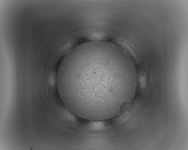 X0000111640665200907241112