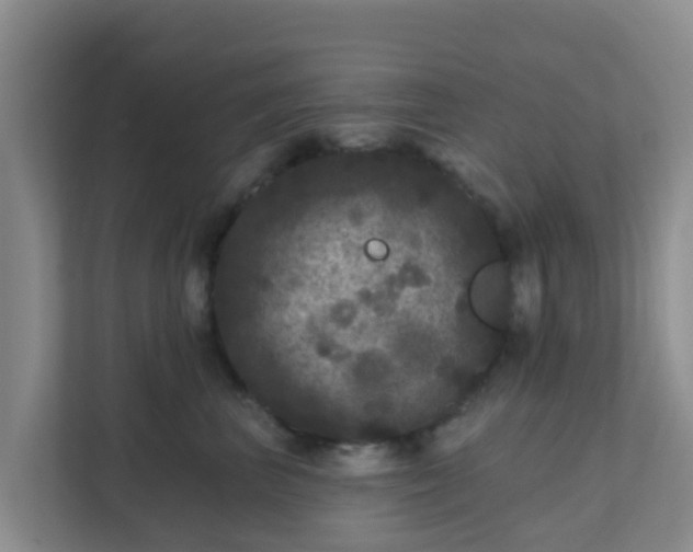 X0000111640667200907241112