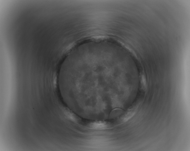 X0000111640668200907241112