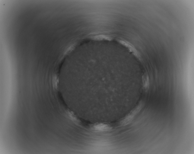 X0000111640669200907241112