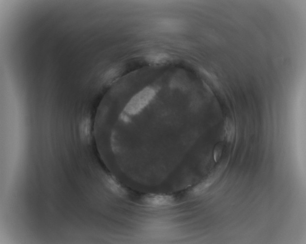 X0000111640670200907241112