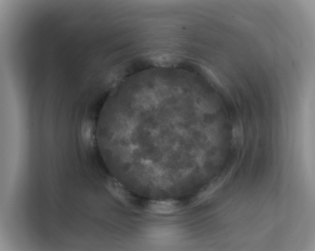 X0000111640671200907241112