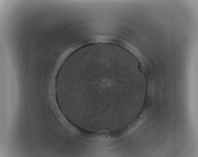 X0000111640673200907241111