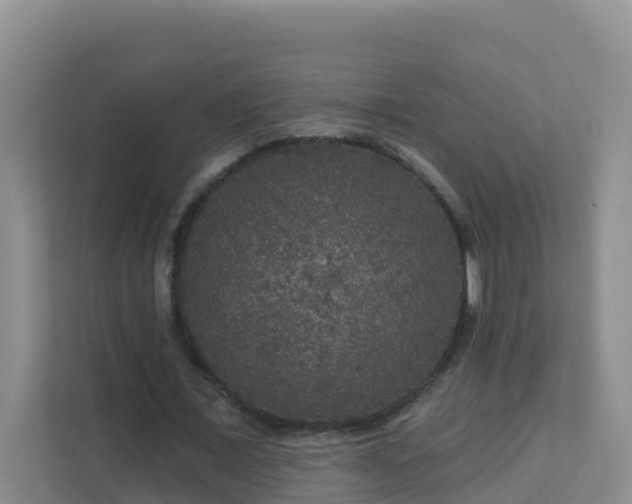 X0000111640675200907241111