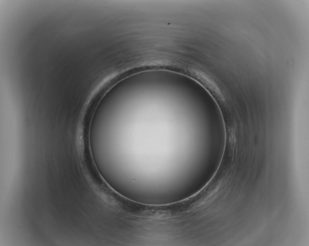 X0000111640676200907241111