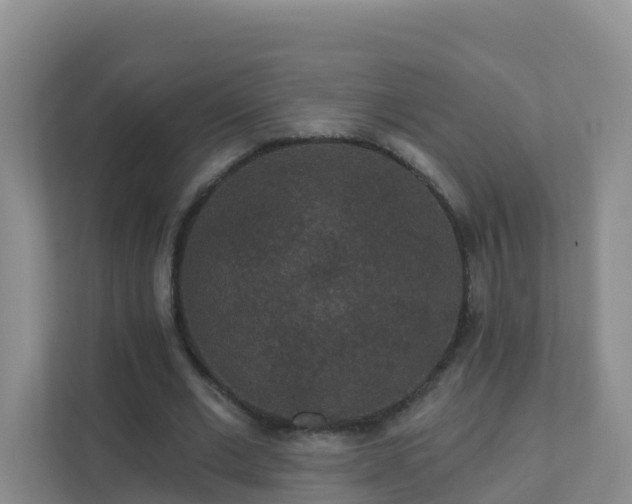 X0000111640677200907241111