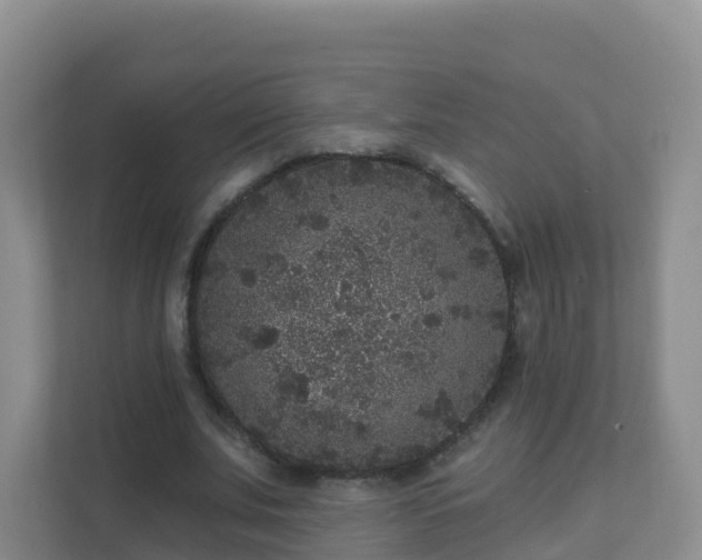 X0000111640679200907241111