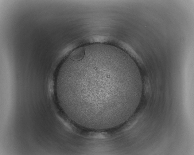 X0000111640683200907241111