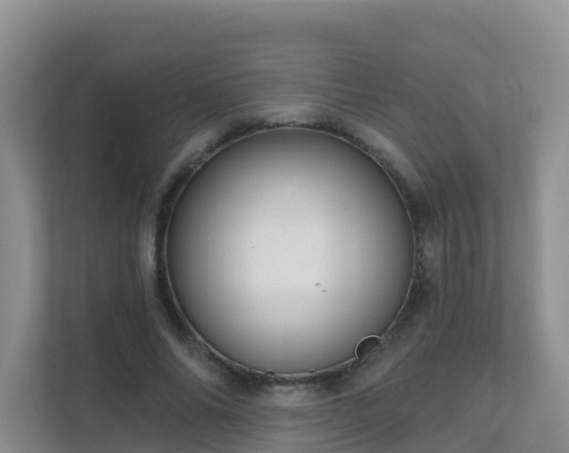 X0000111640686200907241111