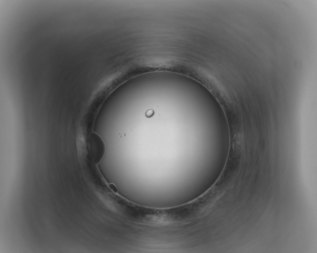 X0000111640688200907241111