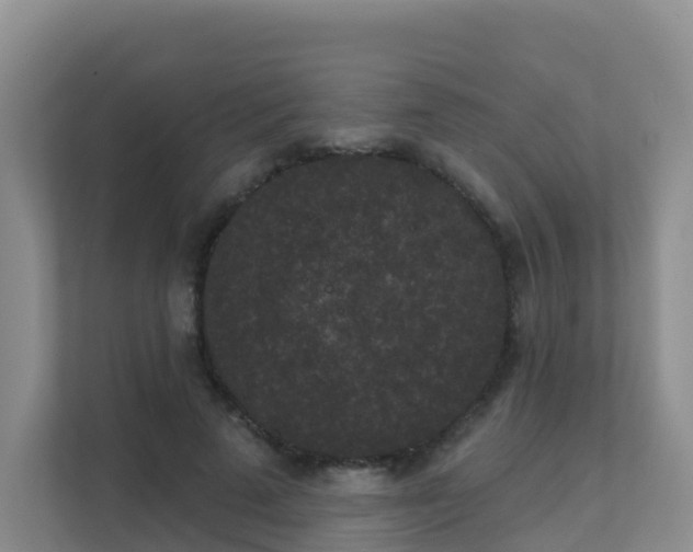 X0000111640689200907241111