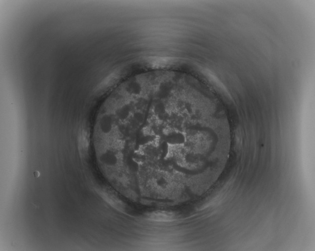 X0000111640691200907241111