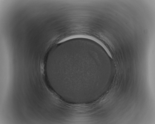 X0000111640693200907241111