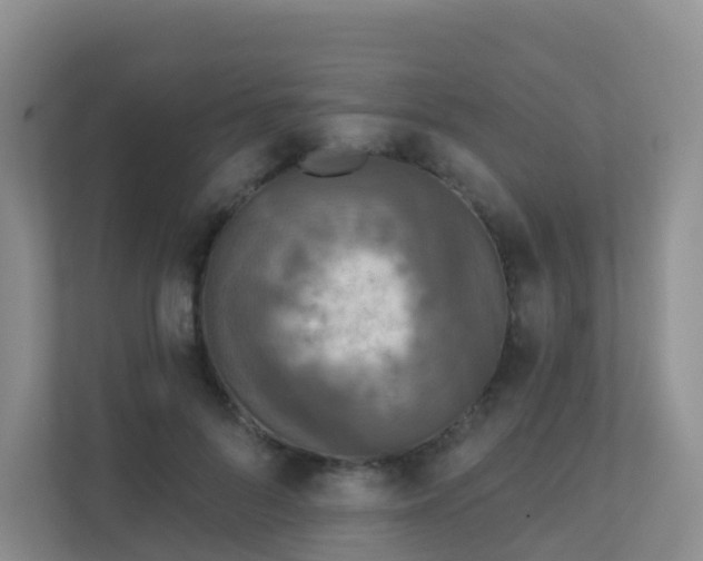 X0000111640696200907241111