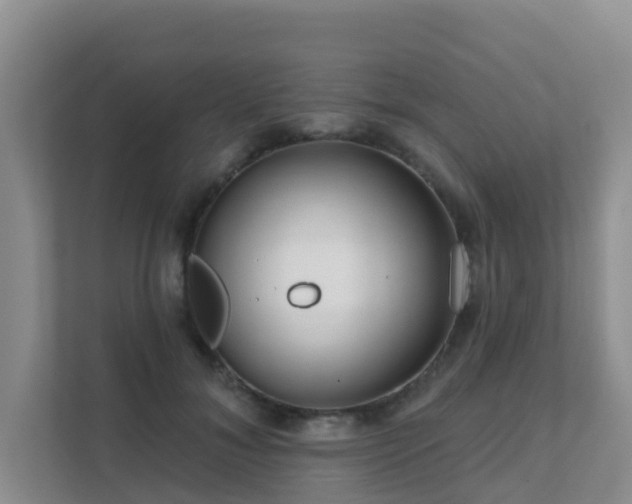 X0000111640700200907241111