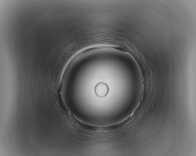 X0000111640701200907241111