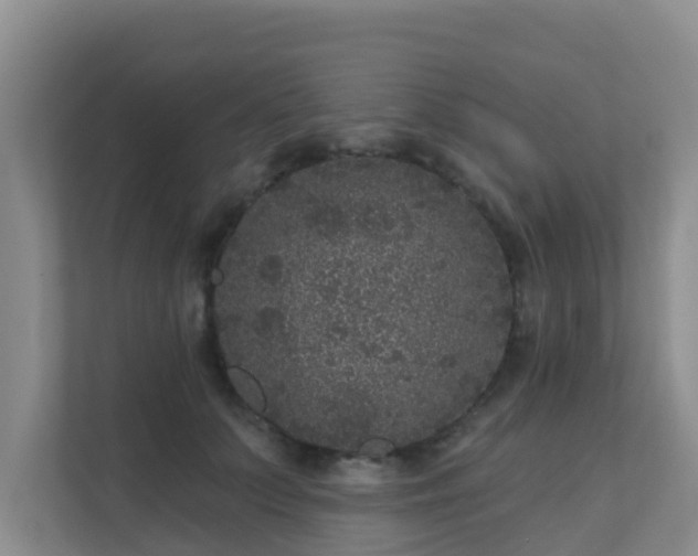 X0000111640703200907241111