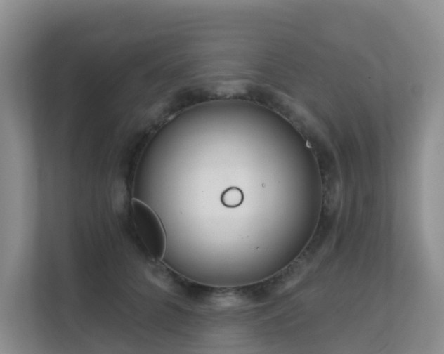 X0000111640704200907241111