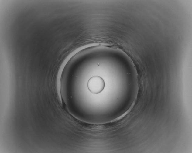 X0000111640705200907241111