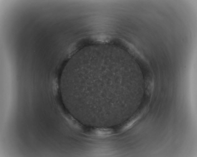 X0000111640707200907241111