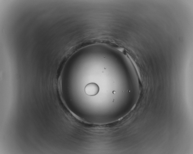 X0000111640708200907241111