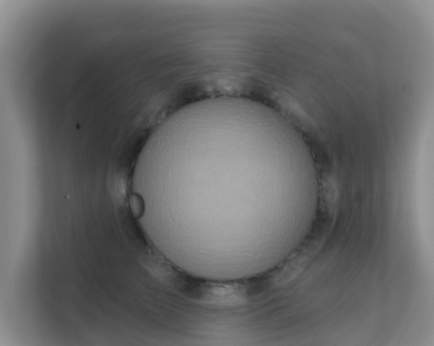 X0000111640709200907241111