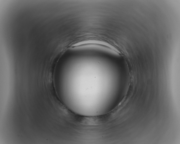 X0000111640713200907241111