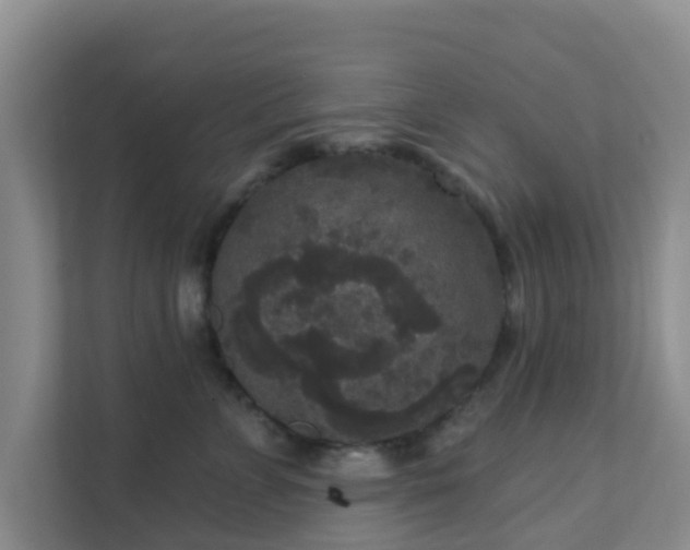 X0000111640715200907241111