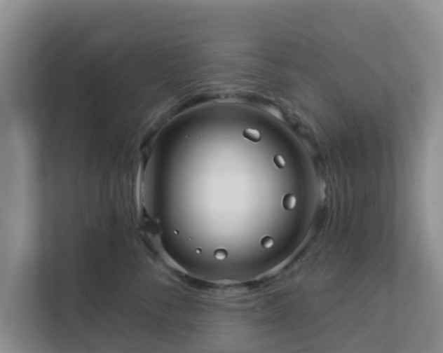 X0000111640716200907241111