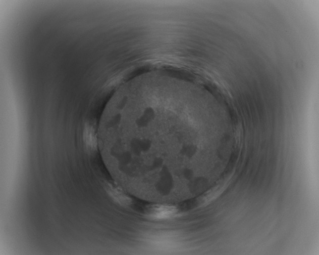 X0000111640719200907241111