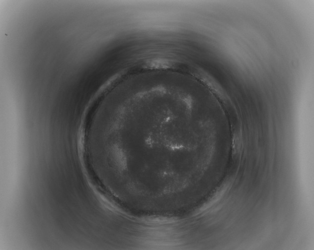 X0000111640722200907241110