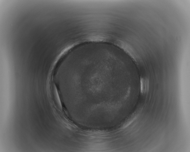 X0000111640723200907241110