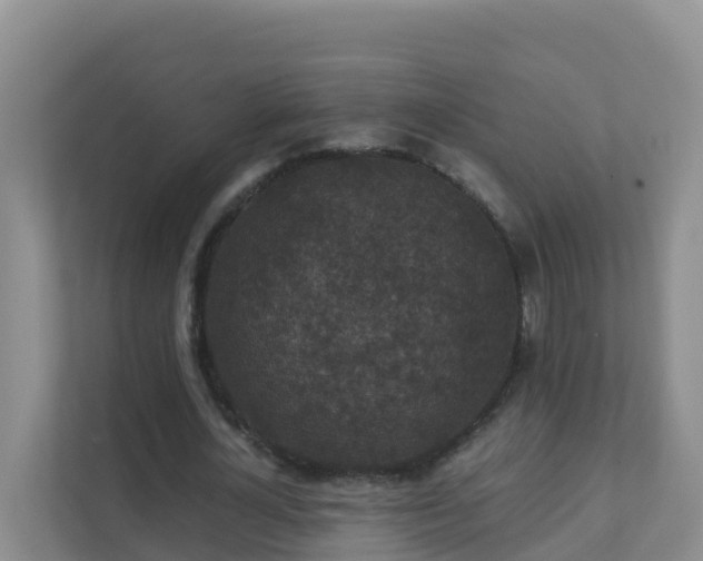 X0000111640724200907241110