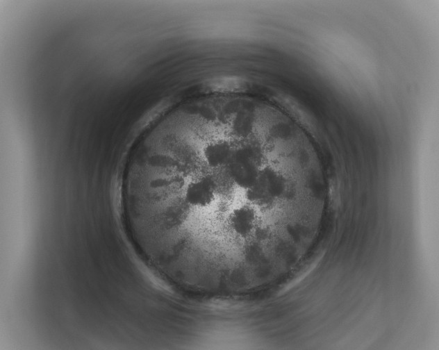 X0000111640725200907241110