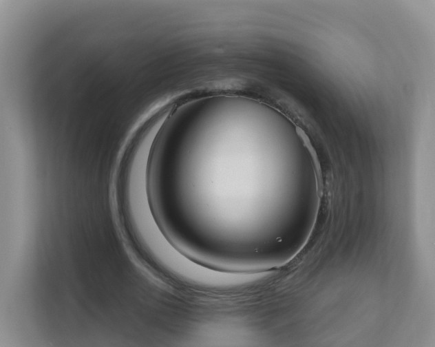 X0000111640726200907241110