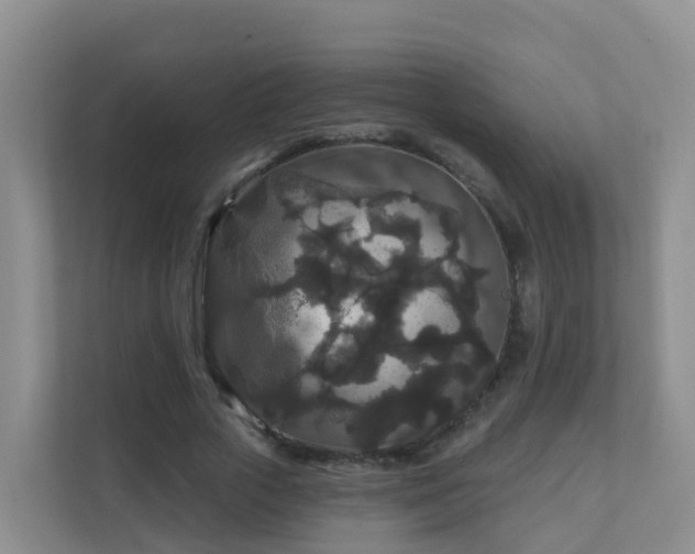 X0000111640729200907241110