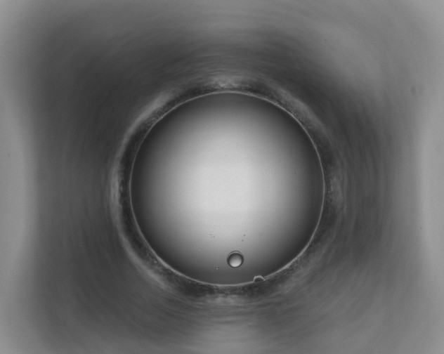 X0000111640730200907241110