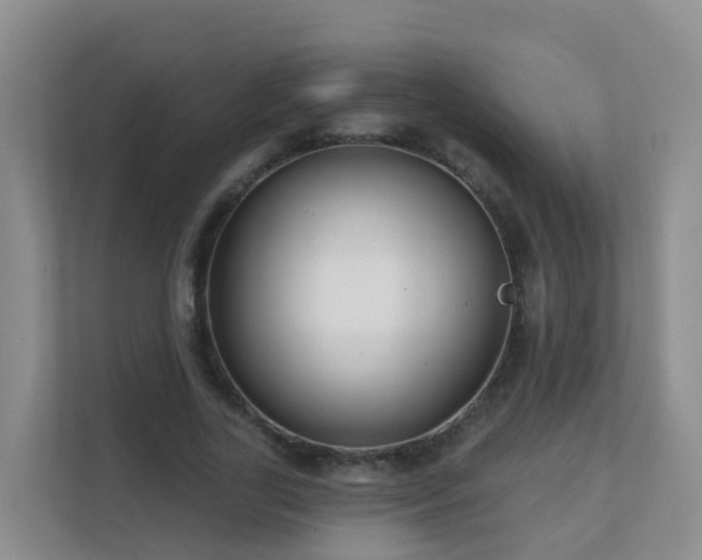 X0000111640731200907241110