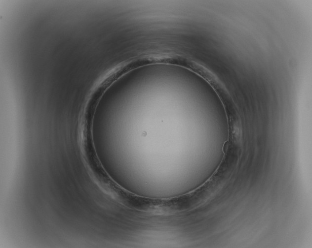 X0000111640732200907241110