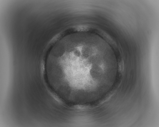 X0000111640733200907241110