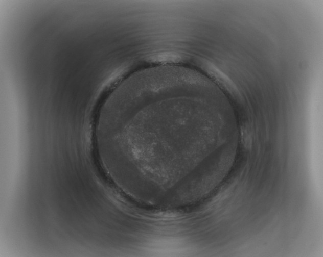 X0000111640735200907241110