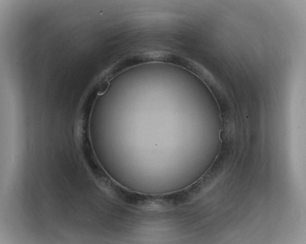 X0000111640736200907241110