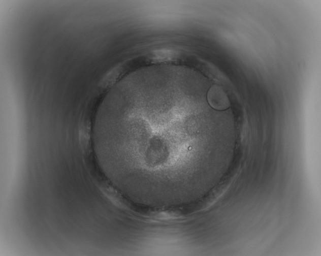 X0000111640737200907241110