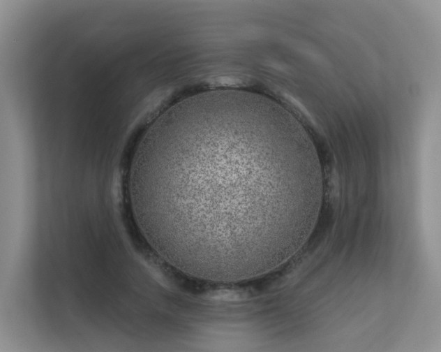 X0000111640738200907241110