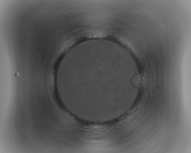 X0000111640739200907241110