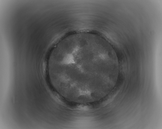 X0000111640742200907241110