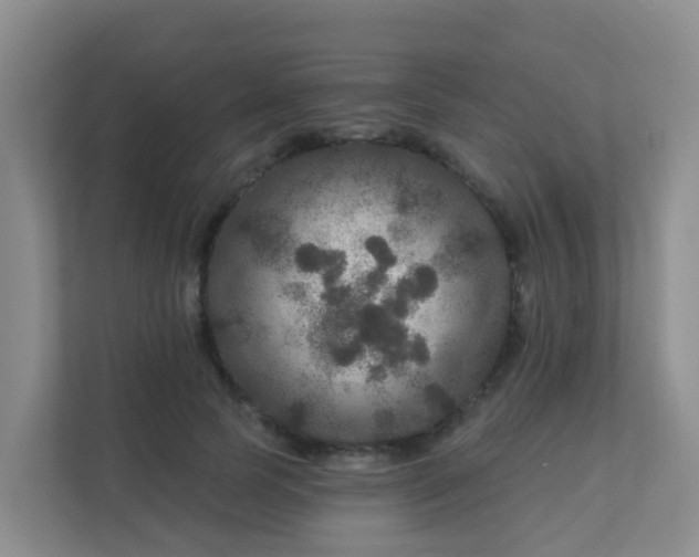 X0000111640745200907241110