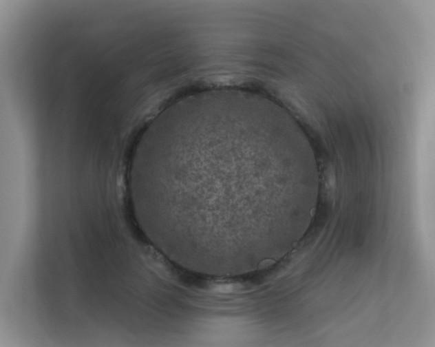 X0000111640746200907241110