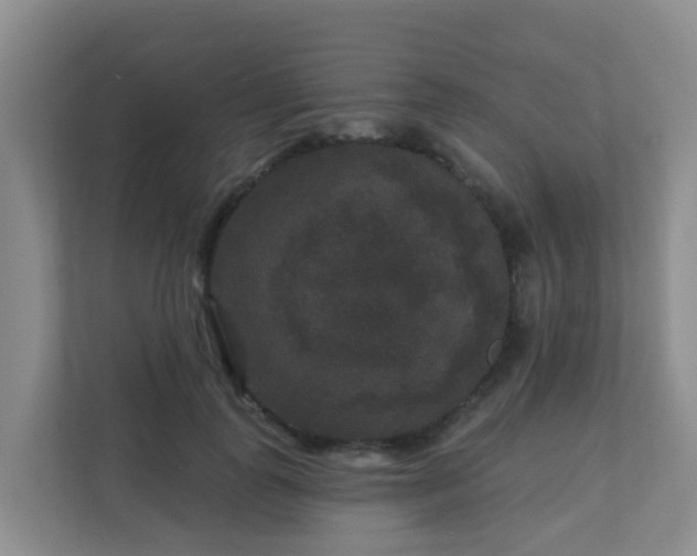 X0000111640747200907241110